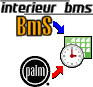BMS Palm Module